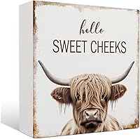 Nrleey Rustic Highland Cow 'Hello Sweet Cheeks' Bathroom Wood Sign - Funny Western Decor Plaque, 5x5 Inches