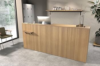 レジカウンター 61PSDqSpf0L._AC_UF350,