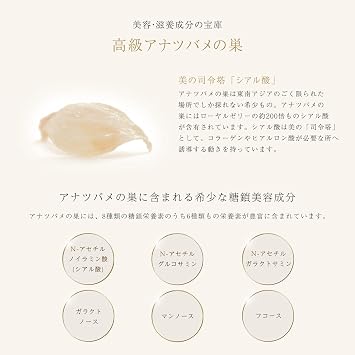 BI-SU Swift's Nest Lotion Lotion | Beauty Ingredient, Collagen, Sialic Acid, Lavender Oil, Moisturizing, Rough Skin, Drying, 1 Bottle, 4.2 fl oz 120 ml