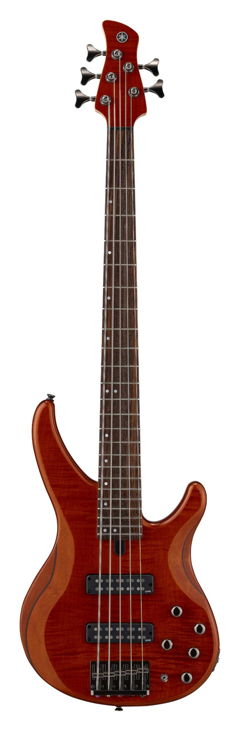 Amazon.com: Yamaha TRBX605 5-String Flamed Maple Bass Guitar