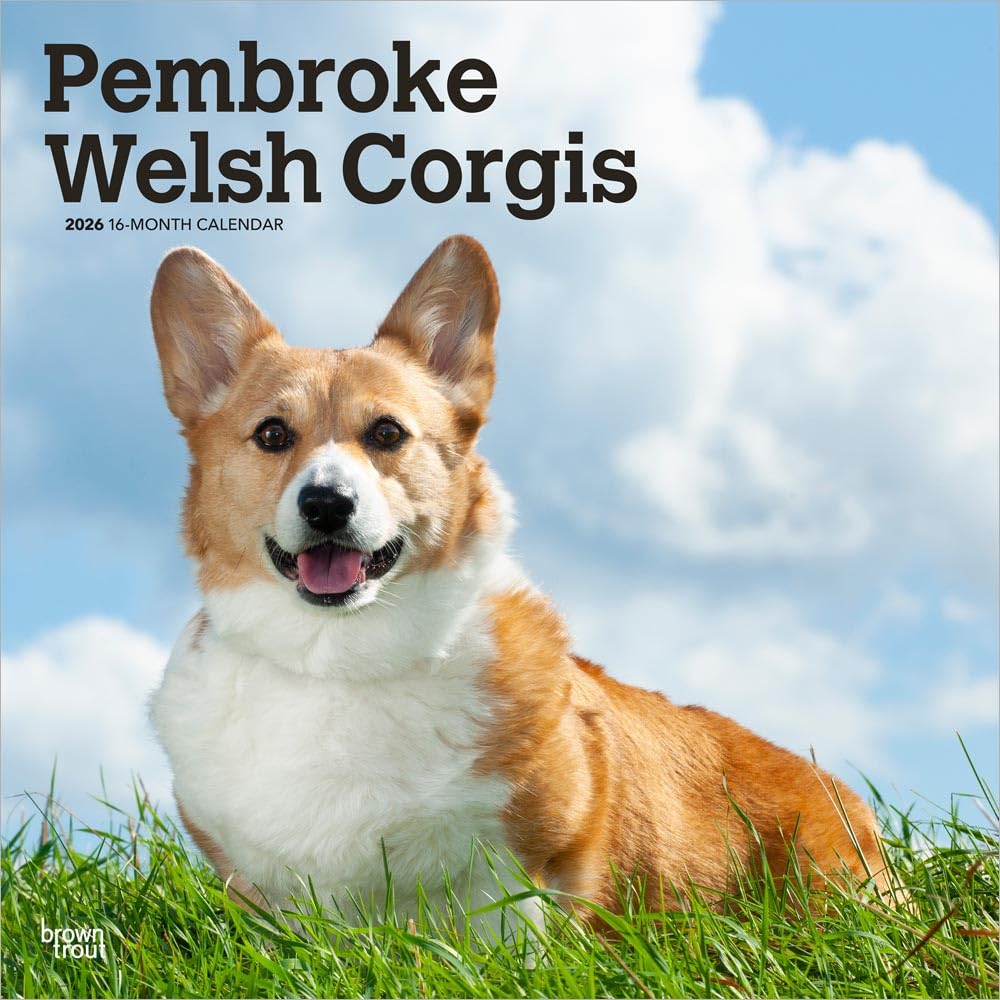 Pembroke Welsh Corgis - Pembroke Welsh Corgi 2026 - 16-Monatskalender: Original BrownTrout-Kalender [Mehrsprachig] [Kalender]