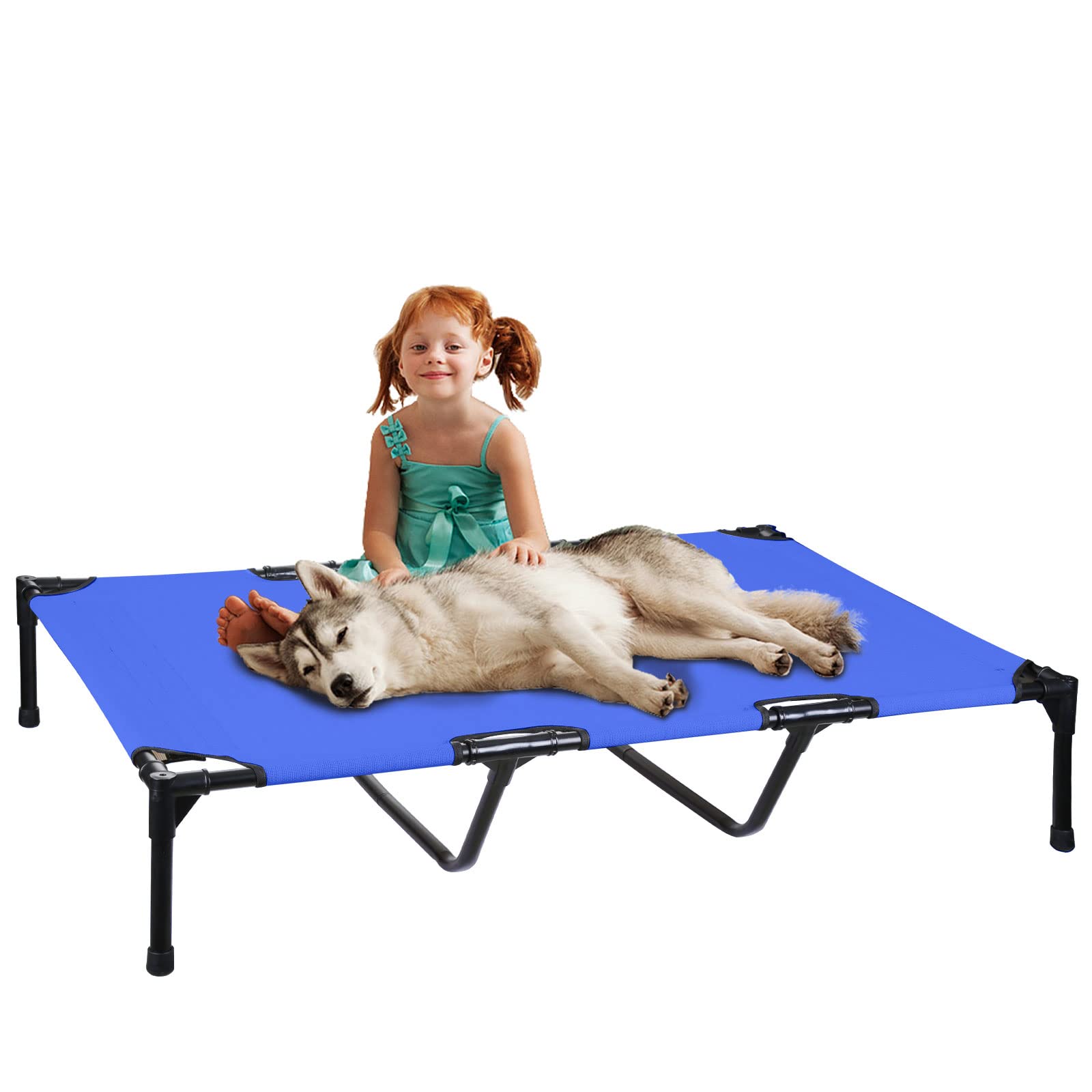 dirty-fiocco-dog-cot-cooling-elevated-dog-bed-for-sale-mesa-az