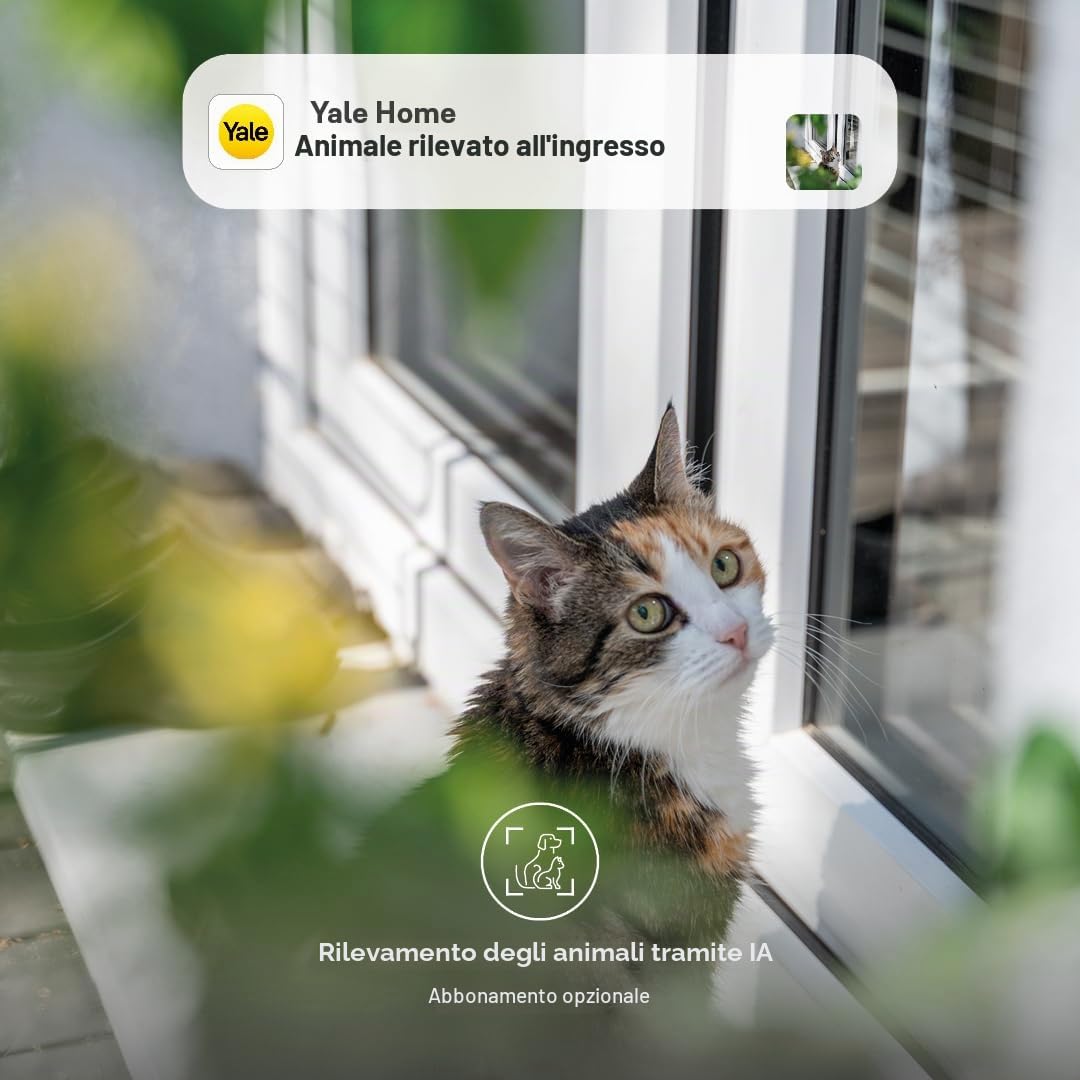 Yale Campanello Smart SV-VDB-1A-W Bianco, Visualizzazione Live Full HD, Audio bidirezionale, Registrazioni di Movimento, Visione Notturna, Chiamata in Tempo Reale, Gestione Tramite l'app Home