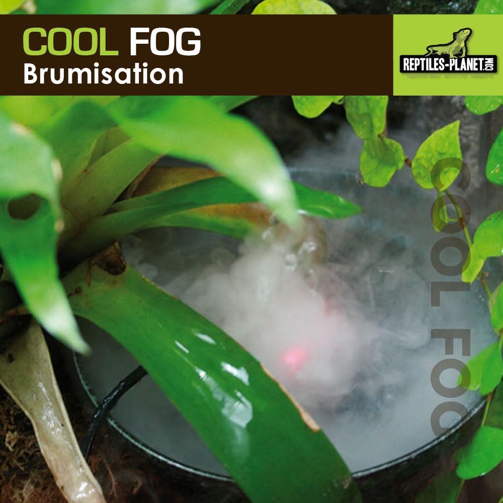 Reptiles Planet - Cool Fog - Brumisateur à Ultrason pour Terrarium