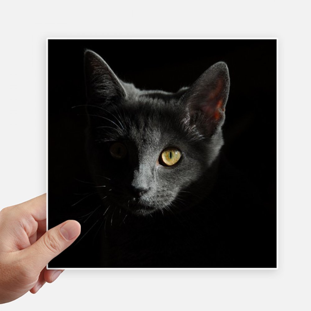 Sticker moto et ordinateur chat noir sauvage - Déco murale carrée 20cm