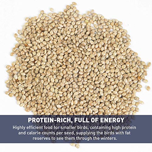 EasyGo Product White Millet Wild Bird Food – 50 lb - Thumbnail 4