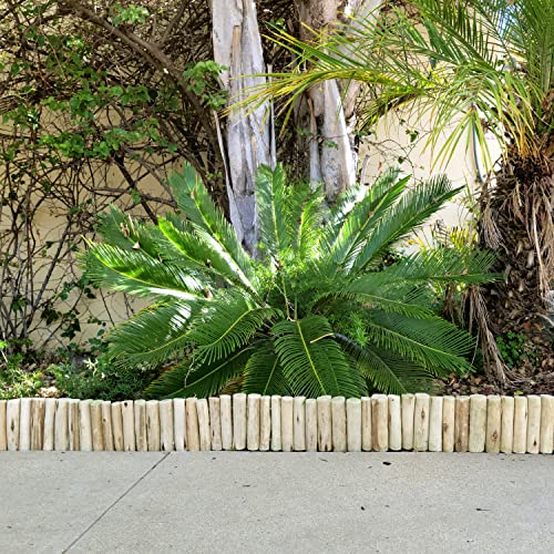Backyard X-Scapes Natural Eucalyptus Wood Solid Log For Garden Edging Lawn Landscape Fence Borders 72 In L X 6 In H X 1.25 In D #TOP7