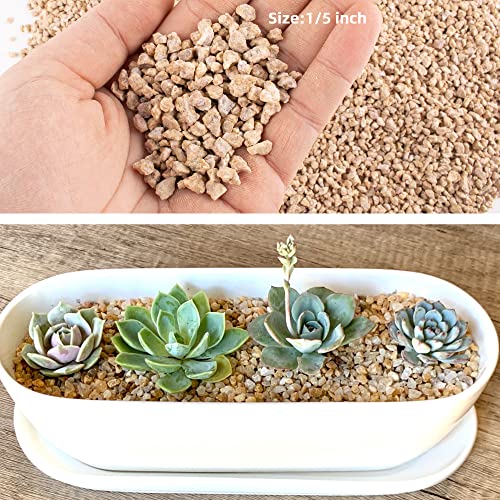 Image of 7lb Maifanitum Stones for Succulent Cactus Bonsai Decorative Rocks-Indoor Plants Soil Covers,Horticultural Gravel, Potting Pebbles for Terrarium, Fairy Gardening, Top Dressing