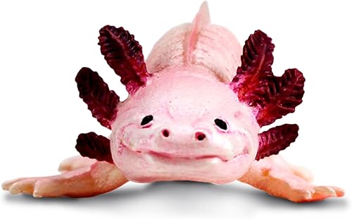 Miniatura 4 de Safari Ltd. Figura de Axolotl - Figura realista de modelo de 7 pulgadas, juguete educativo para niños, niñas y niños a partir de 3 años