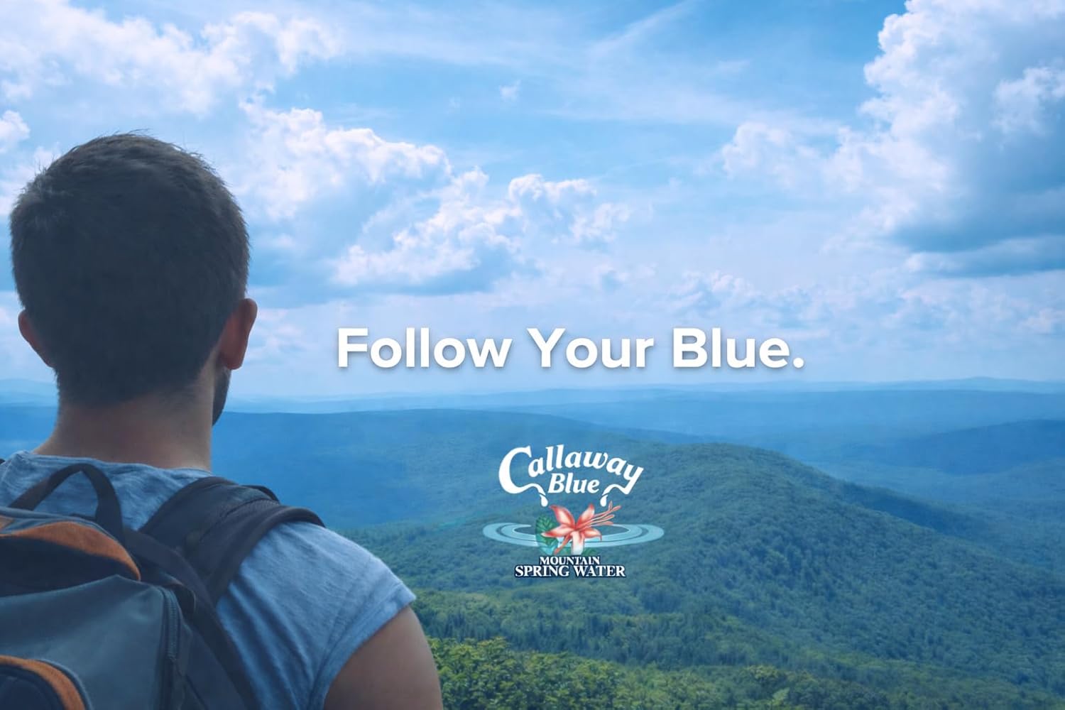 Callaway Blue Mountain Springwater, Natural Georgia Mountain Water, Bottled at the Source, Low Mineral 31 ppm TDS, Premium Drinking Bottles for Home, Office, Restaurant, 24 Pack
