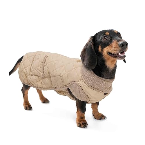 PJDDP Impermeable Abrigo Teckel, Chaqueta De Invierno Dachshund