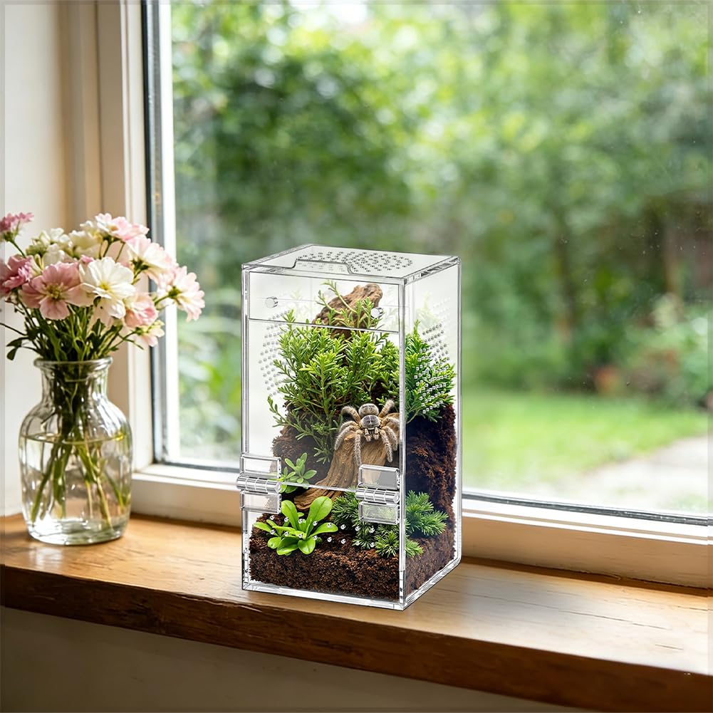Akrylowe terrarium na pająki, 15,2 x 7,6, 7,6 cm, prostokątna wentylacja poprzeczna 360°, wstępnie zmontowany wybieg dla ślimaków, chrząszczy, ptaszników, żab i małych gadów