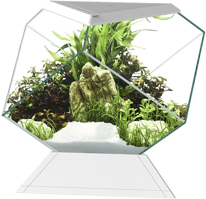 Askoll 280669 nexus 5c betta life white