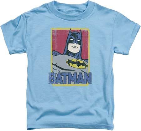 Amazon.com: DC Comics Batman Begins Logo T-Shirt, Kids, Unisex