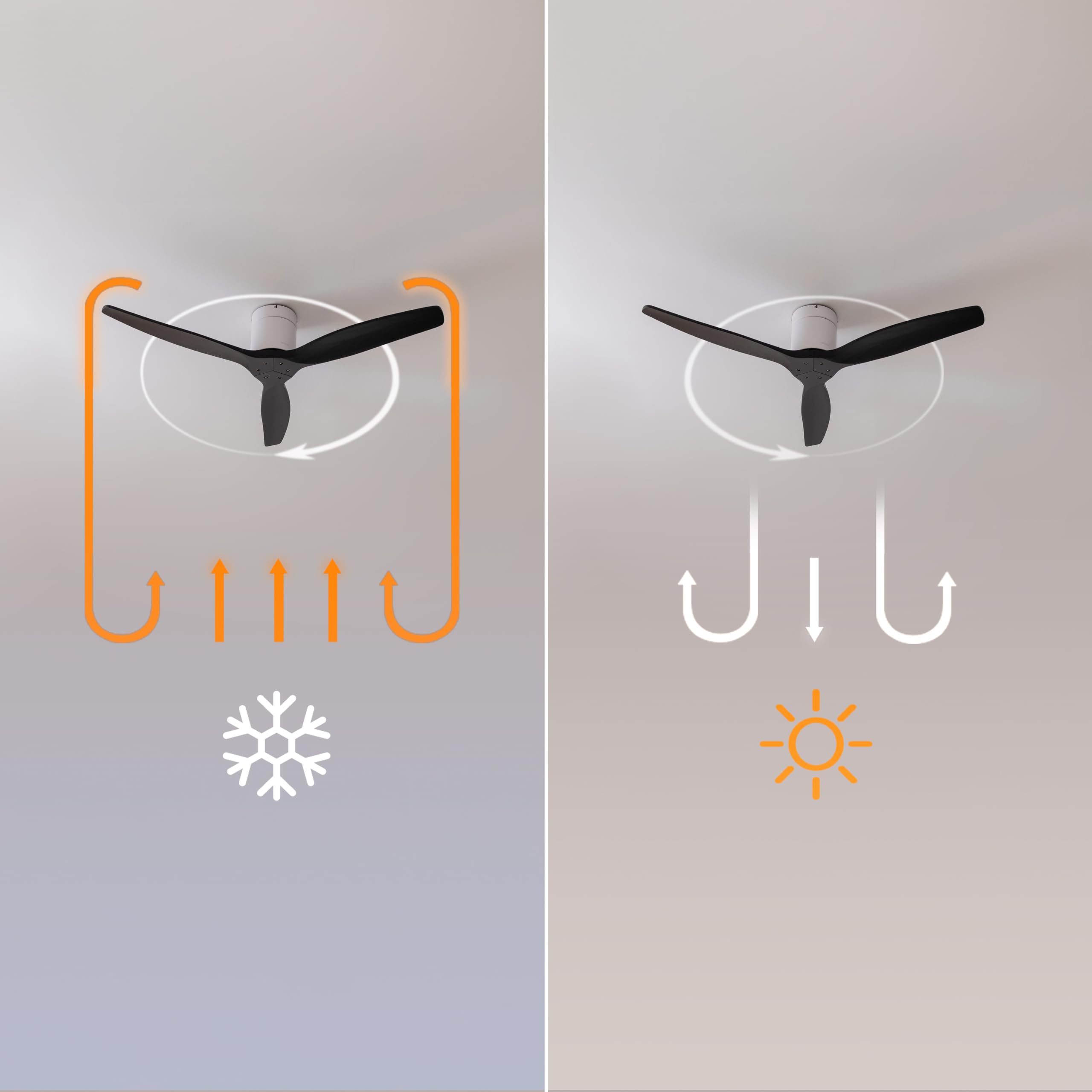 Cecotec - Ventilatori da Soffitto EnergySilence Aero 5500 Aqua White&Black Connected - 40 W, Diametro 132 cm, Wi-Fi, Protezione IP44, Timer 8 Ore, 3 Pale, 6 Velocità, Estate/Inverno