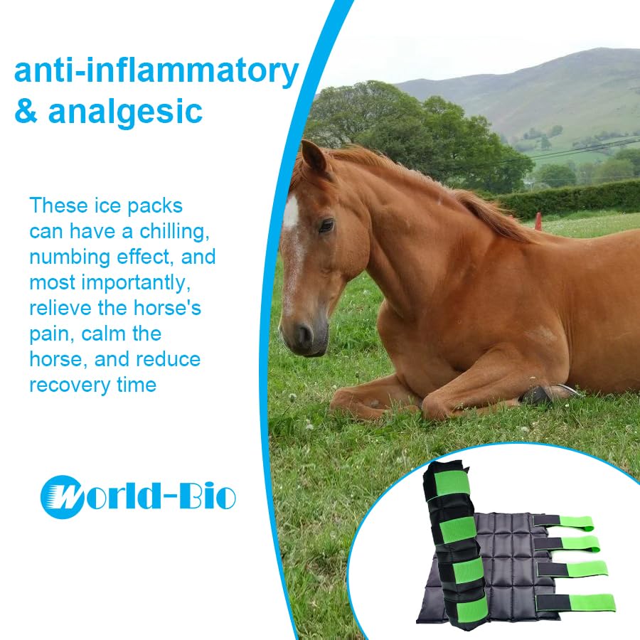 Image of WORLD-BIO Horse Ice Boots Set of 2 /Horse Ice Pack for Injuries, Therapy Full Leg Ice Boot Cold Pack with Flexible Straps for Hock, Ankle, Knee, Legs and Hooves, 16.9'' x 16.1'' Green