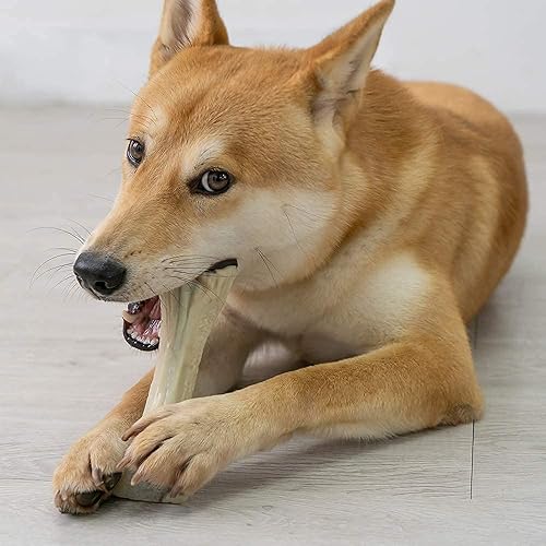 Miniatura 7 de Juguetes masticables de nailon duraderos para perros masticadores agresivos, razas grandes, medianas y pequeñas, juguete indestructible para perros