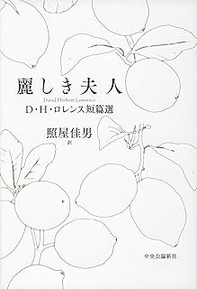 麗しき夫人-D・H・ロレンス短篇選 (単行本)
