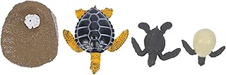 ibasenice 1 Conjunto De Brinquedo De Bolo De Ciclo De Crescimento Animal Mini Tartarugas Estátua De Sapo Animais Modelo Cognitivo Figuras De Ciclo De Vida Brinquedos De Tartaruga Ornamentos