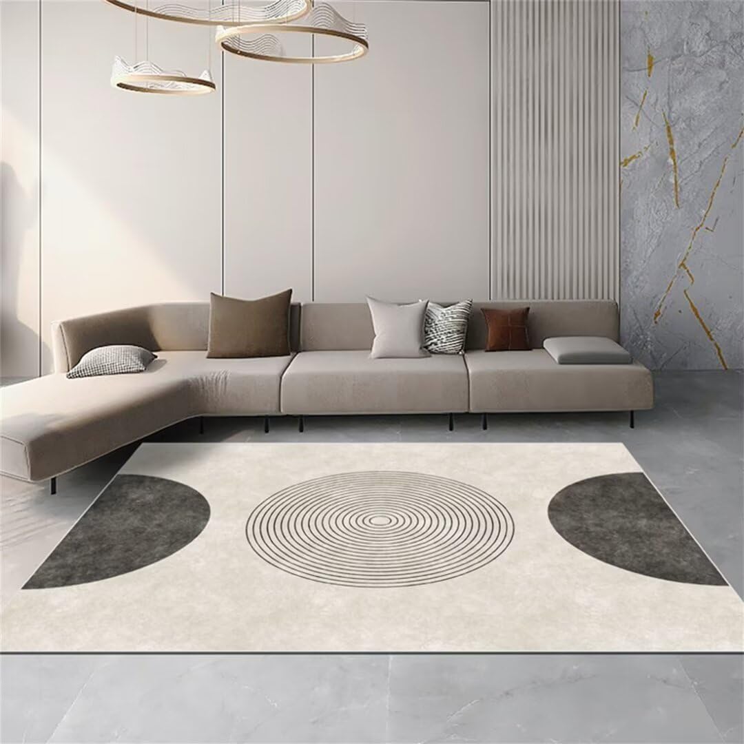 Tapis de salon moderne gris foncé 170x240cm à poils courts résistant