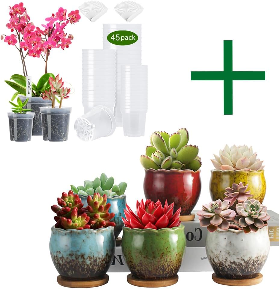 Amazon.com: ZOUTOG Succulent Pots & Nursery Pots, 4 inch Colorful ...