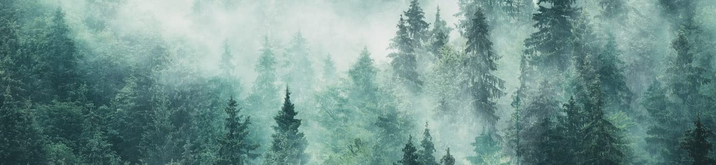 Dimex Pellicola autoadesiva per parete posteriore della cucina, foresta nebbiosa, 260 x 60 cm, pellicola adesiva decorativa, paraspruzzi per cucina