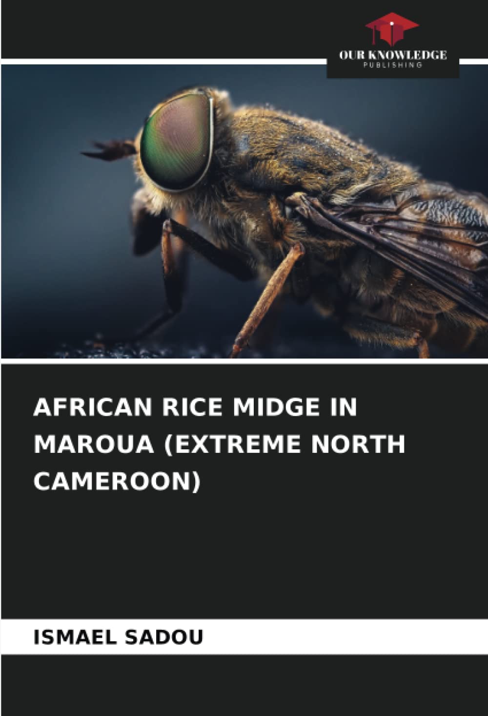 AFRICAN RICE MIDGE IN MAROUA (EXTREME NORTH CAMEROON)