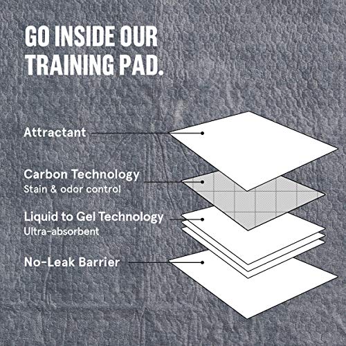 Barkbox Odorless Puppy Pads | 100 Count | Quick Dry, Ultra Absorbent Activated Charcoal Dog Pee Pads, Pet Training Accessories for Housebreaking, Pheromone Attractant | Charcoal | Regular