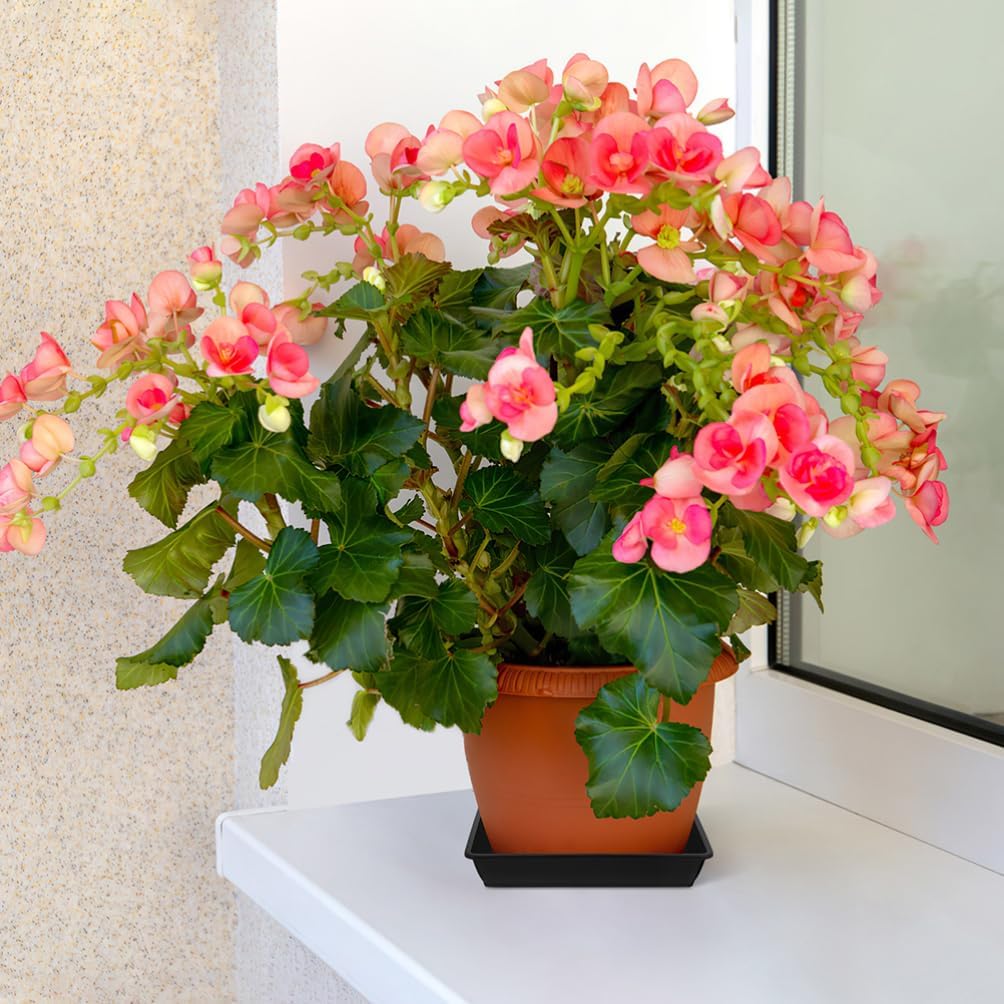 HANABASS 10pcs Plastic Plant Saucer Trays Square Flowerpot Drip Plates for Use Black Prevents Water Leakage Easy to Move Pots for Pot Types