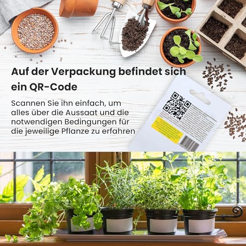 TORAF Gemüsesamen Set 12 Sorten – Premium Saatgut für Garten, Balkon & Hochbeet – Tomaten, Gurken, Zucchini, Salat, Brokkoli, Karotten, Grünkohl, Schnittlauch – Anzuchtset Gemüsepflanzen