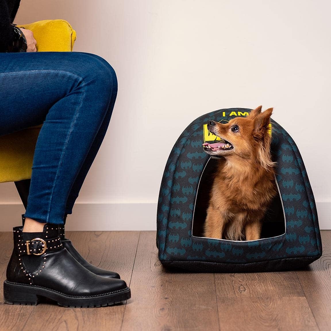 review CERDÁ LIFE'S LITTLE MOMENTS - for Fan Pets | Batman Cats and Dog Bed Small Dogs - Official DC Comics Licence, Multicoloured, Single Size