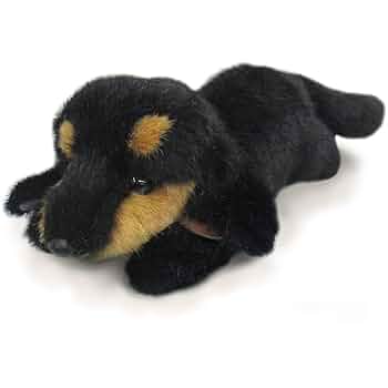 犬　三英　ダックスフント　ぬいぐるみ Amazon.co.jp: 三英貿易 グレイスフル I-6865 おねだりDOG