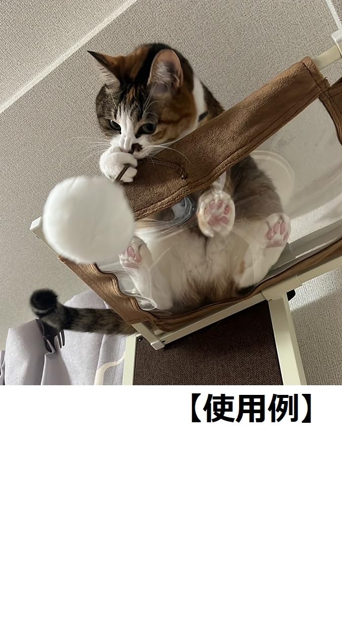 Amazon | ボンビアルコン (Bonbi) キャットウォーク モダン クリア