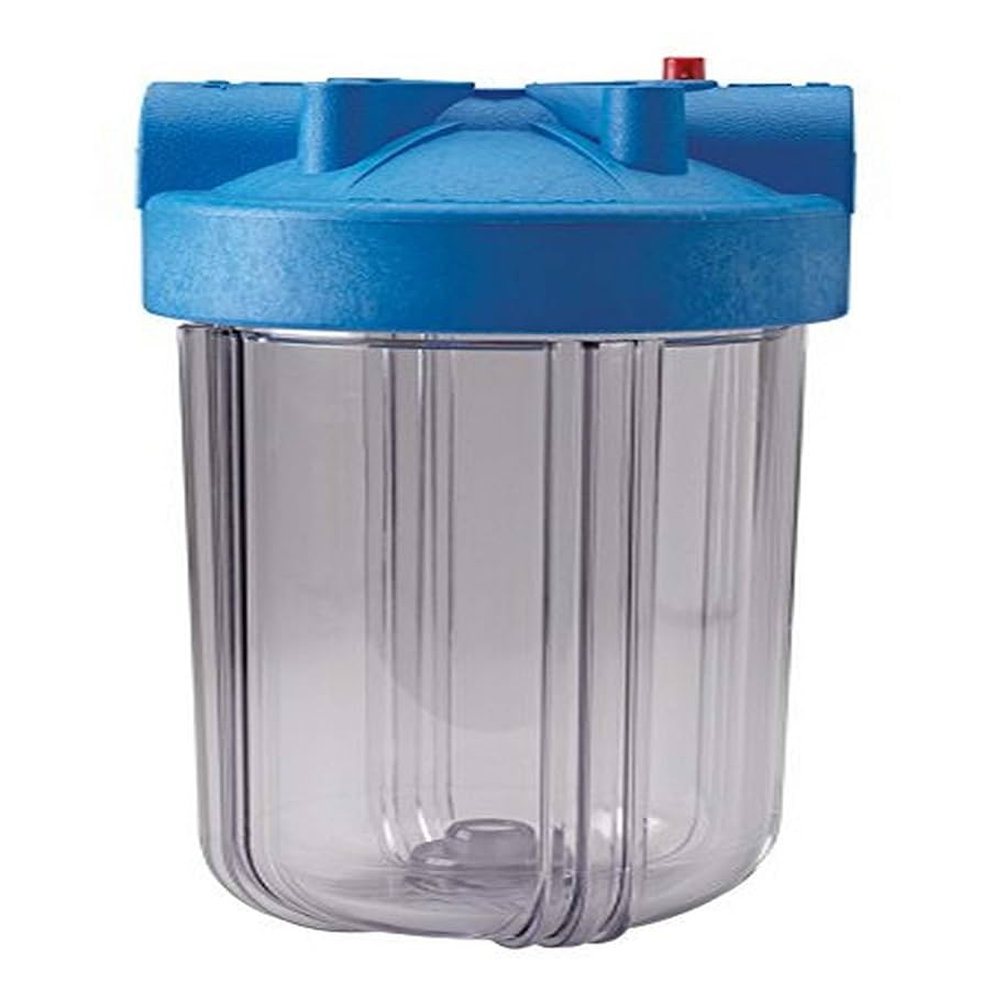 D-ROOM⭐️ Pentek 166219.0 W/Pr Housing Number-10 Big Clear Filter, 1