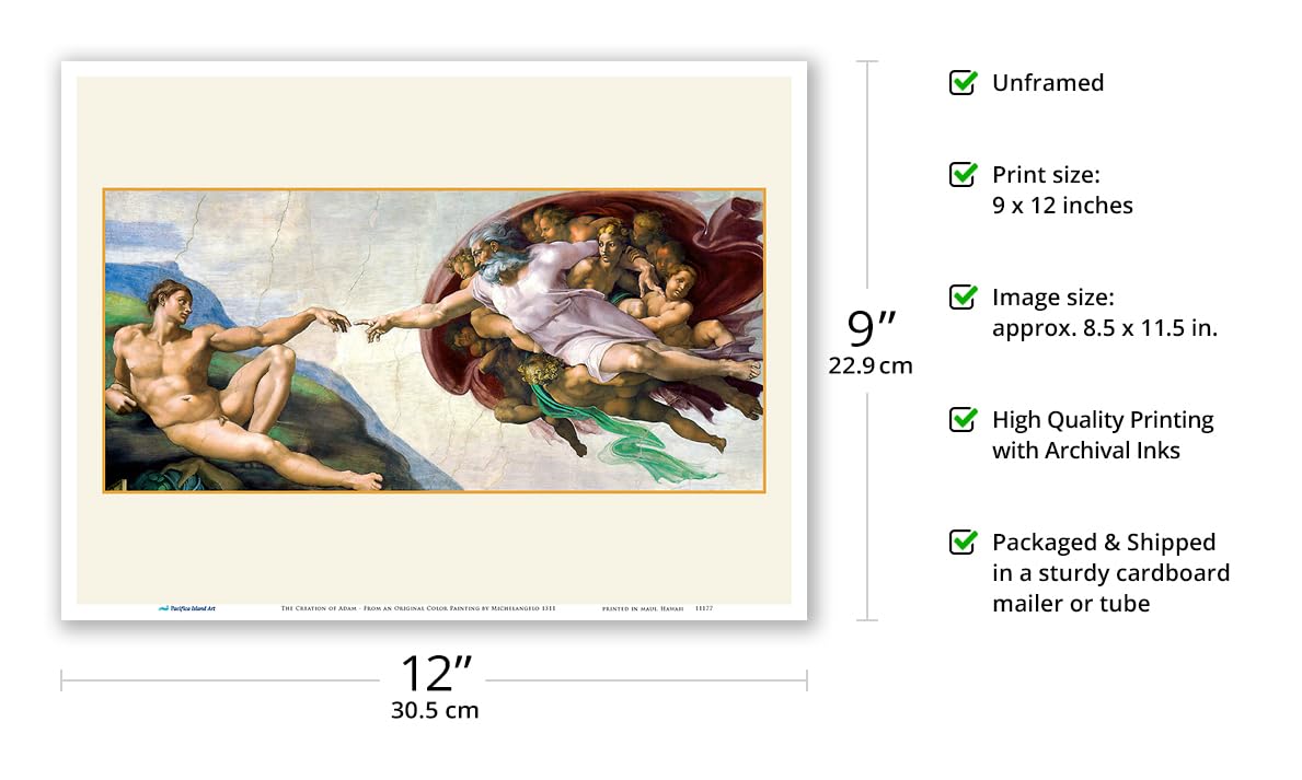 Amazon.com: The Creation of Adam (The Creation of Man) - From an