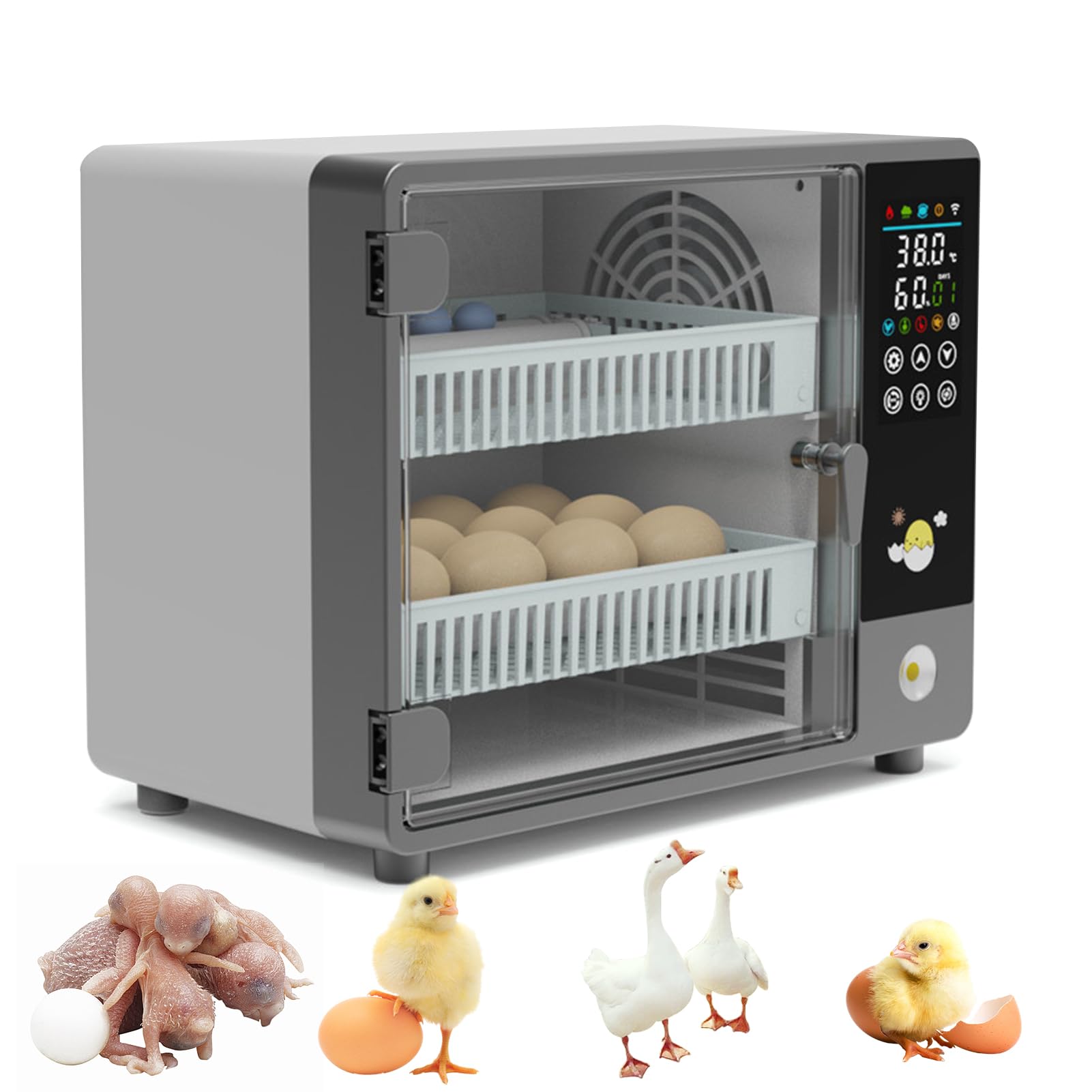 Brutautomat Inkubator Brutmaschine für 24 Eier mit Automatischer Wendefunktion Temperaturregelung & Einstellbarem Eierhalter Dual Stromversorgung