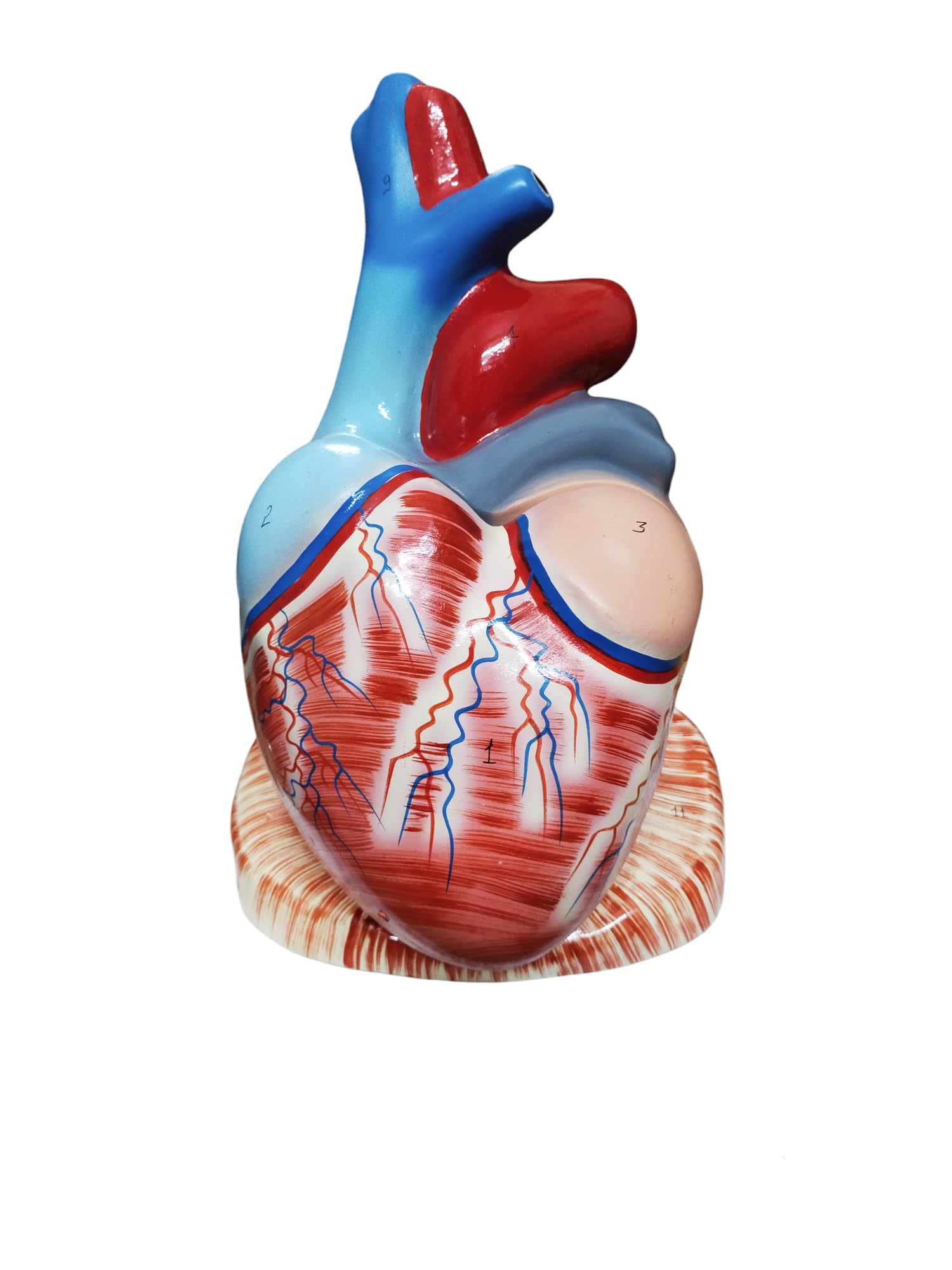 Anand traders DWIJ HEART MODEL jumbo size, big size. (B0D2BGVF1Y) Amazon Price History, Amazon Price Tracker