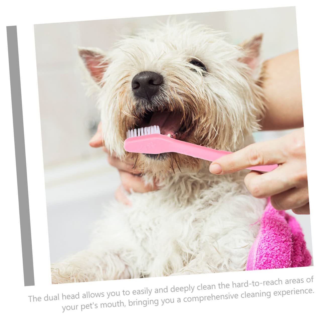 BESPORTBLE 12 Pack Dual Head Dog Toothbrush Large and Small Brush Heads Soft Bristles Pet Oral Care Dog Supply