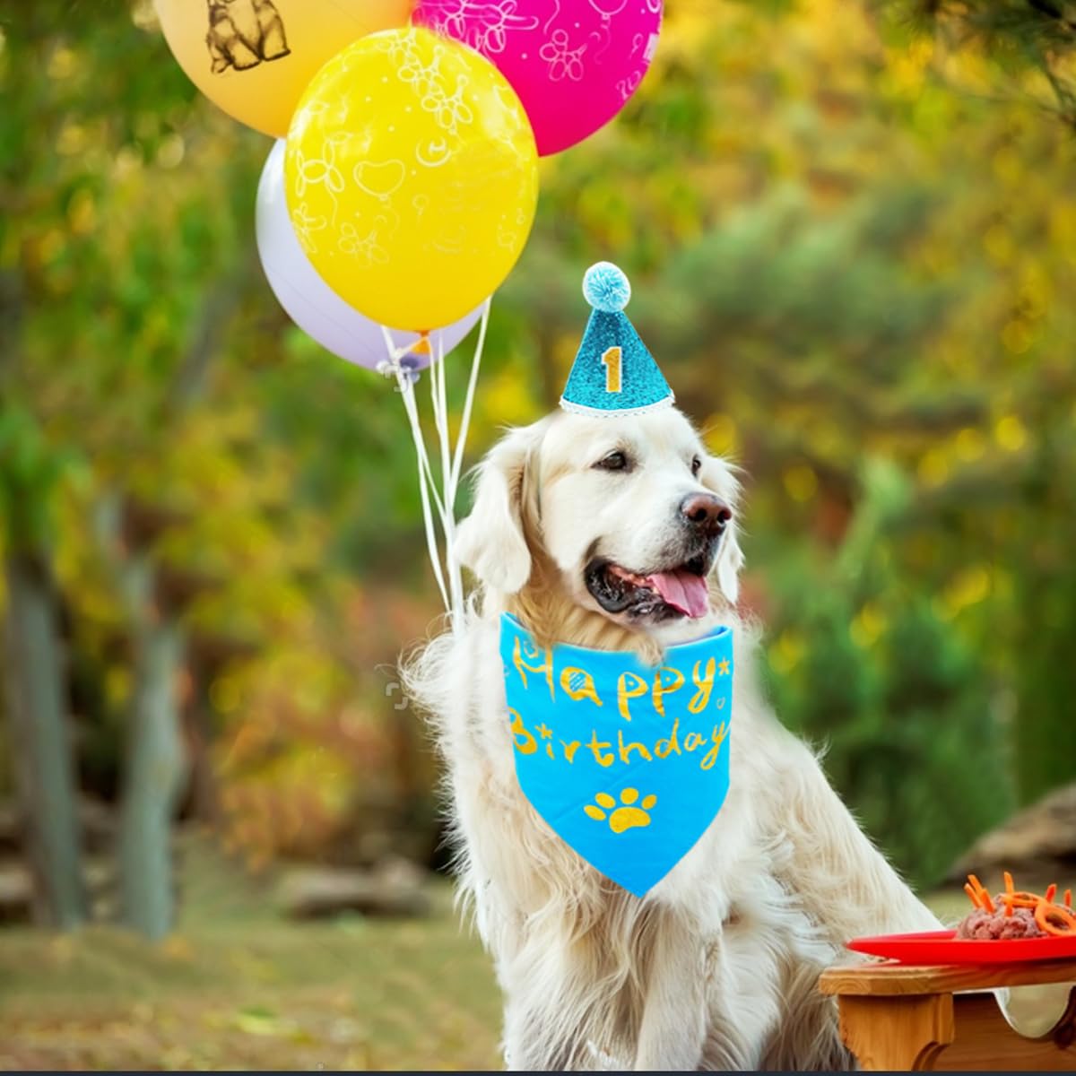 Bipydog 1st Birthday Hat Bandana Bowtie For Girls Boys Small