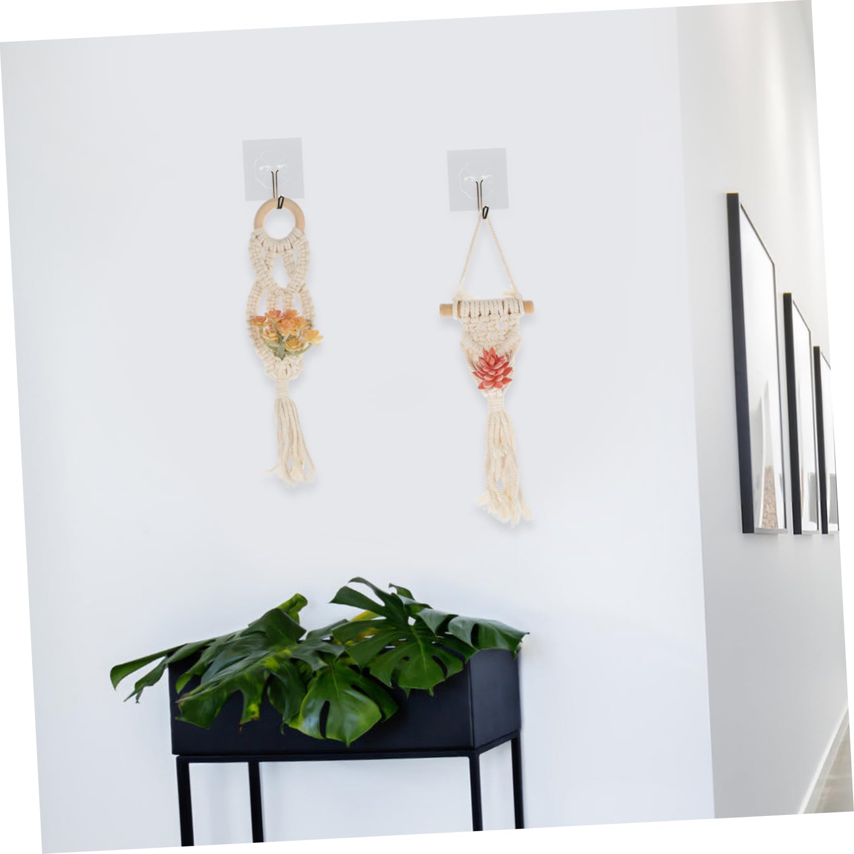 BESPORTBLE 8pezzi Appendiabiti Per Macramè Portavaso Decorativo Per Ed Per Boho e Versatile Per Fioriere Diverse