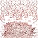 Konsait 21th Birthday Decor Rose Gold Hanging Swirls Decoration Star 21 Happy Birthday Table Confetti for Girls Birthday Party Favor Supplies Decoration Home Table Decor