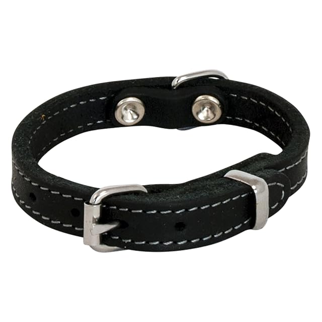 Jack and Vanilla - Collar para Perro de Piel Grasa, Material sólido, Duradero, fácil de Mantener, Tacto Suave…