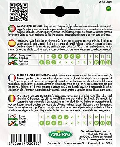 Germisem Wurzelpeterselie BERLINER, EC7009, mehrfarbig