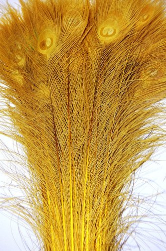 50 Pcs Bleached & Dyed Peacock Feathers 30