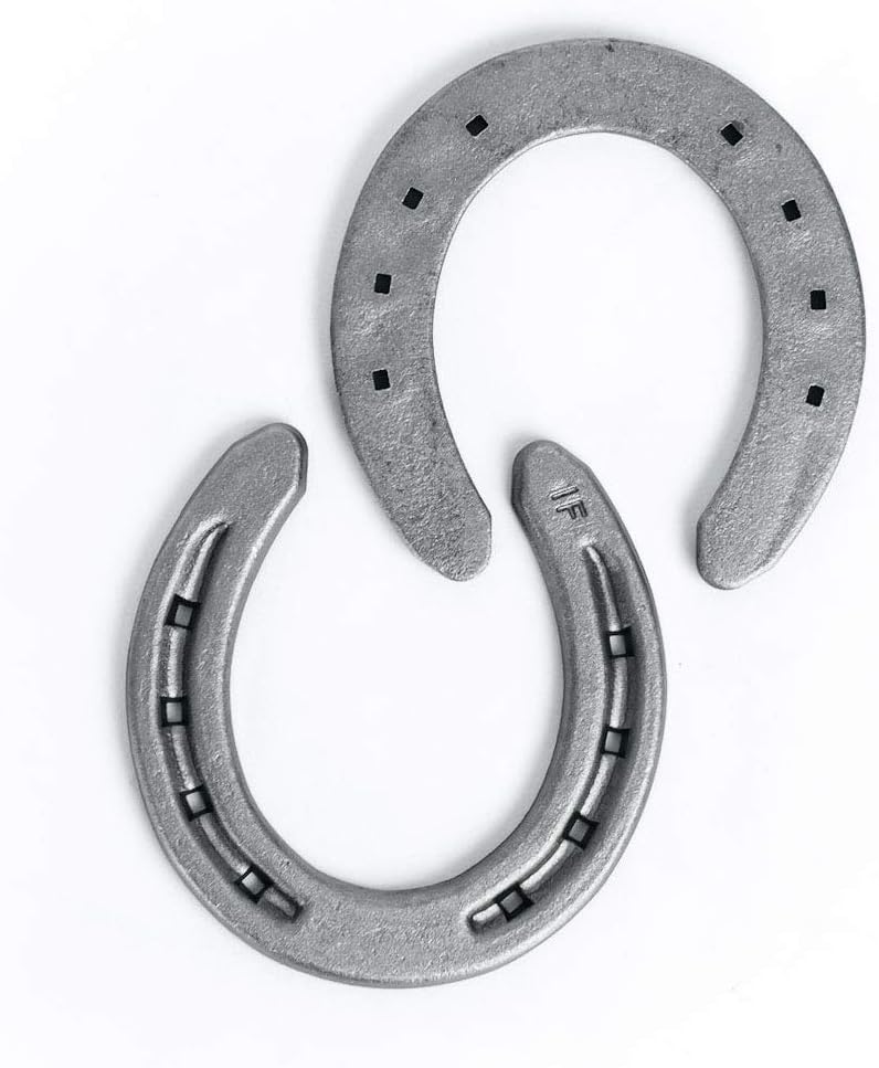 Steel Horseshoes Set for Horses, Crafts, Decorations and Backyard Games - Size 000 - R1-F - Sand Blasted 20 Shoes