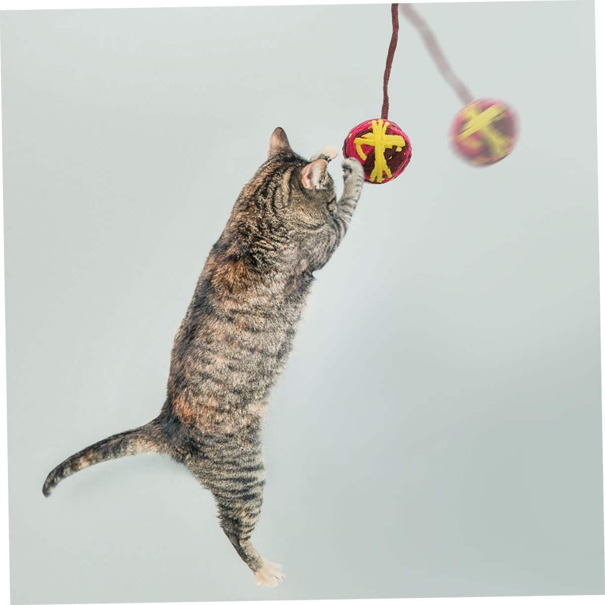 Kisangel 25stücke Katzenbälle Mit Glocke Strapazierfähiges Katzenspielzeug Für Aktive Kätzchen Fördert Bewegung Und Spieltrieb Interaktive Beschäftigung Für Katzen