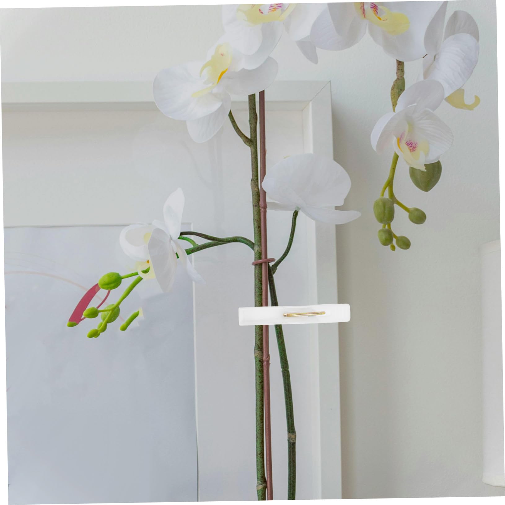 Clips de Soporte para Plantas 100 Piezas Plástico Blanco para Enredaderas