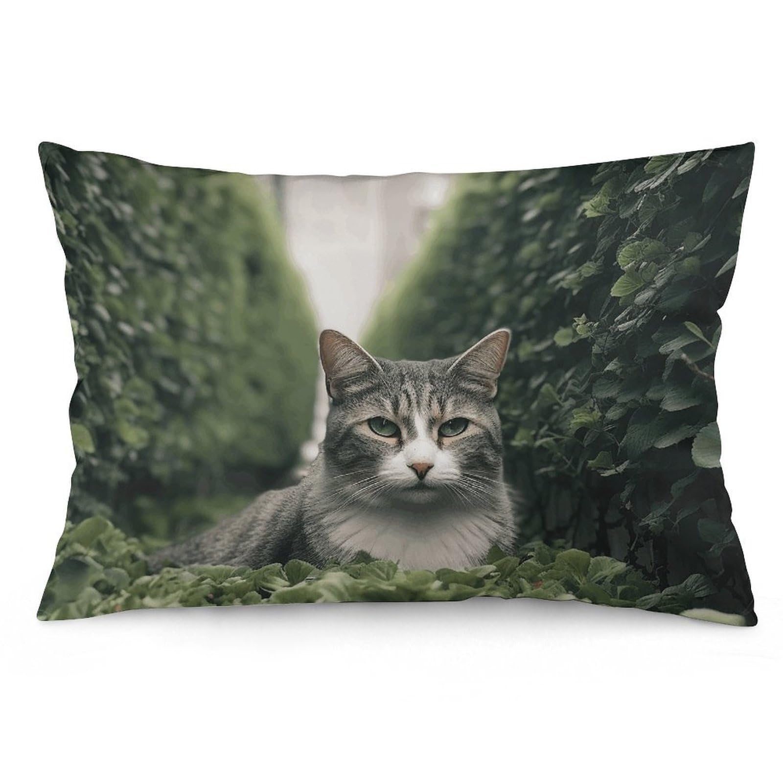 2 Pack Pillow Cases for Hair and Skin, Soft Breathable Pillow Case Covers with Hidden Zipper, Cat on The Ground Pillowcase 16 "x24 Pillow Covers for Sleeping Gift