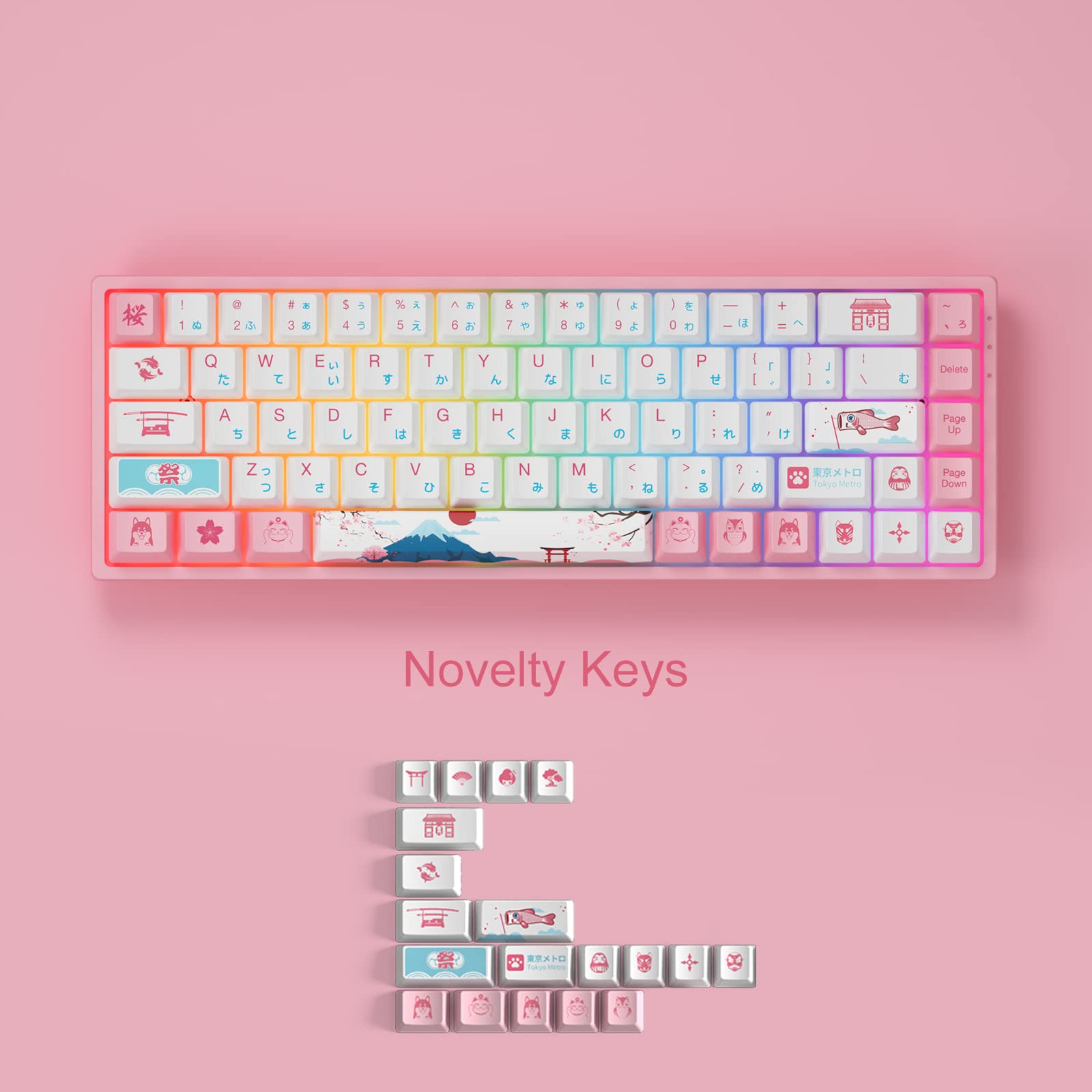 Amazon.com: Akko World Tour Tokyo R2 65% 68-Key RGB Hot-swappable