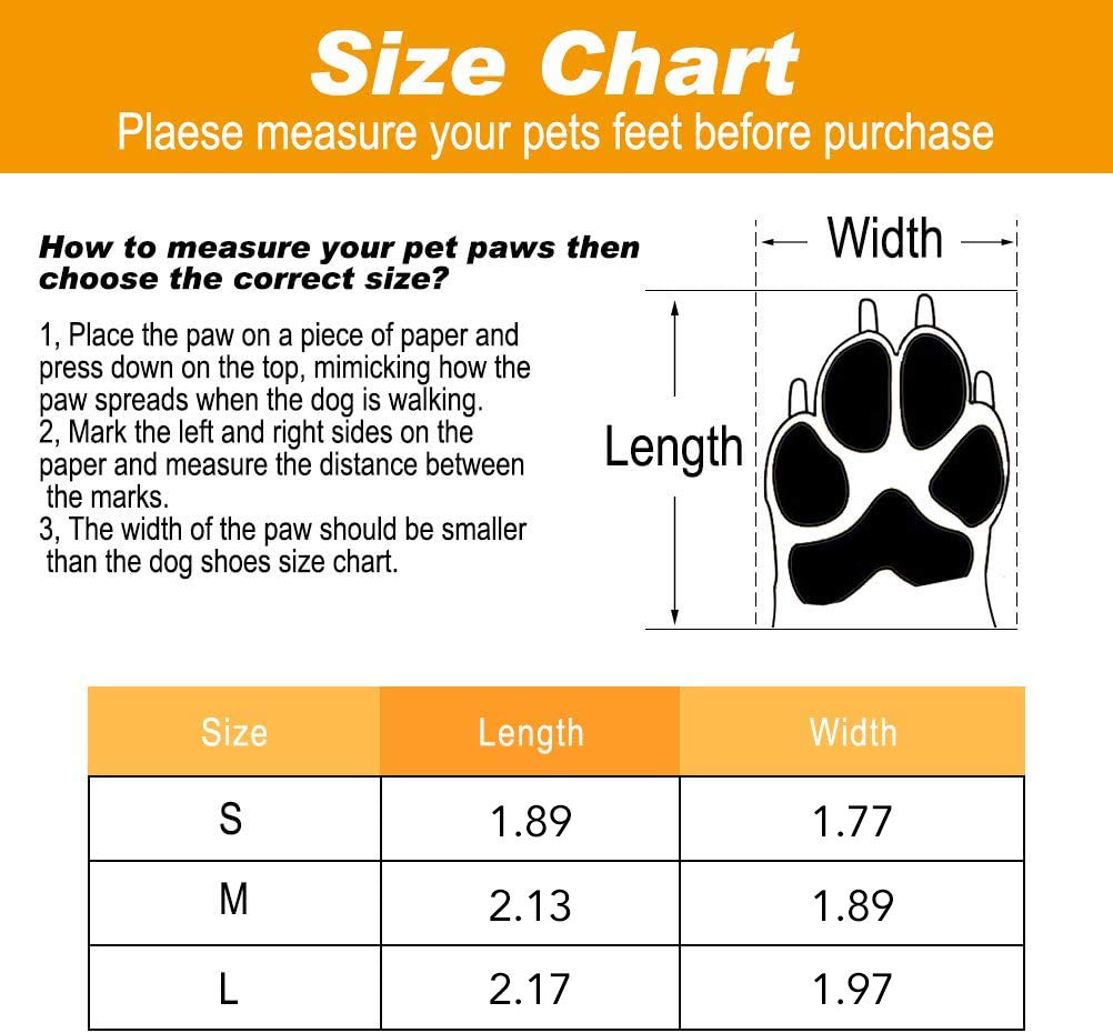 Do Puppy Paws Determine Size